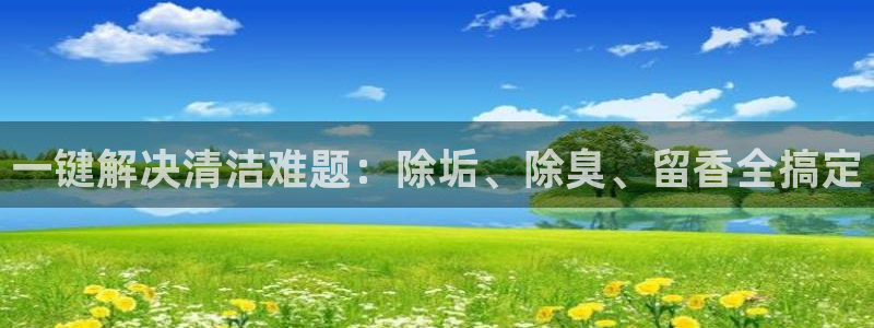 尊龙人生就是博官方官网：一键解决清洁难题：除垢、除臭、留