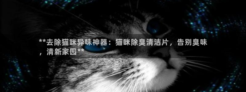 **去除猫咪异味神器：猫咪除臭清洁片，告别臭味
，清新家