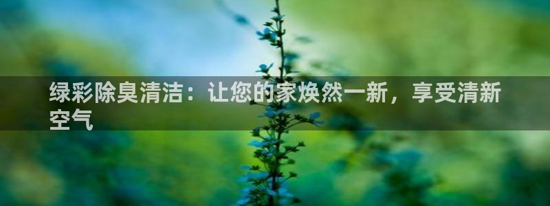 尊龙网站登录：绿彩除臭清洁：让您的家焕然一新，享受清新
