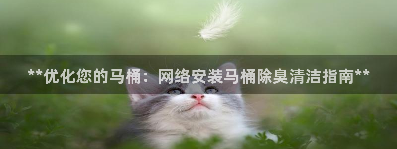 尊龙凯时最新平台登陆：**优化您的马桶：网络安装马桶除臭