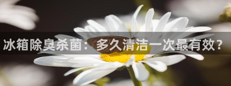 kb88凯时SO权威AG发财网：冰箱除臭杀菌：多久清洁一