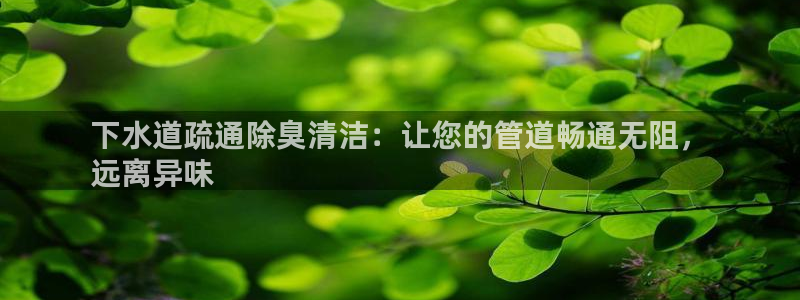 尊龙手机官方客户端下载：下水道疏通除臭清洁：让您的管道畅