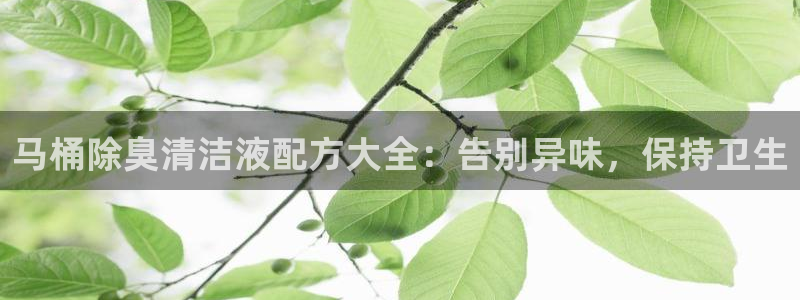 尊龙凯时网站首页手机登录：马桶除臭清洁液配方大全：告别异