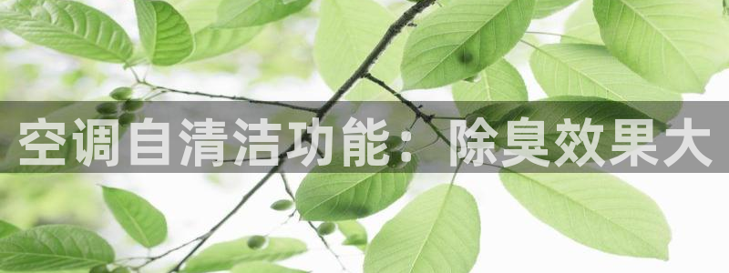 凯时登录界面：空调自