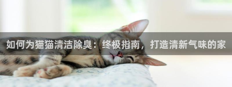 凯时kb88公司简介：如何为猫猫清洁除臭：终极指南，打造