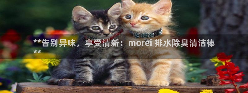 尊龙登录首页：**告别异味，享受清新：morei 排水除